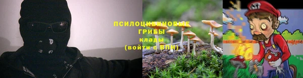 не бодяженный Няндома
