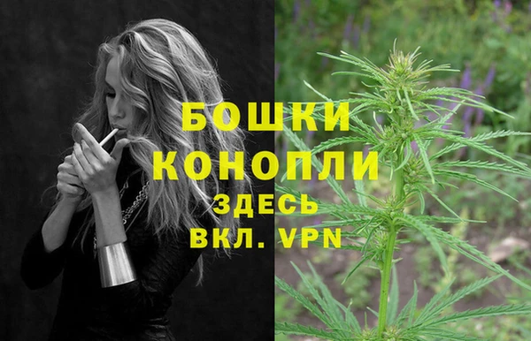 не бодяженный Няндома
