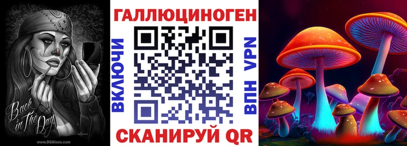 купить закладку  Поворино  Псилоцибиновые грибы прущие грибы 